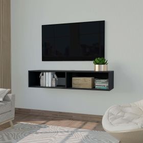 Black Spacious Shelves TV Stand